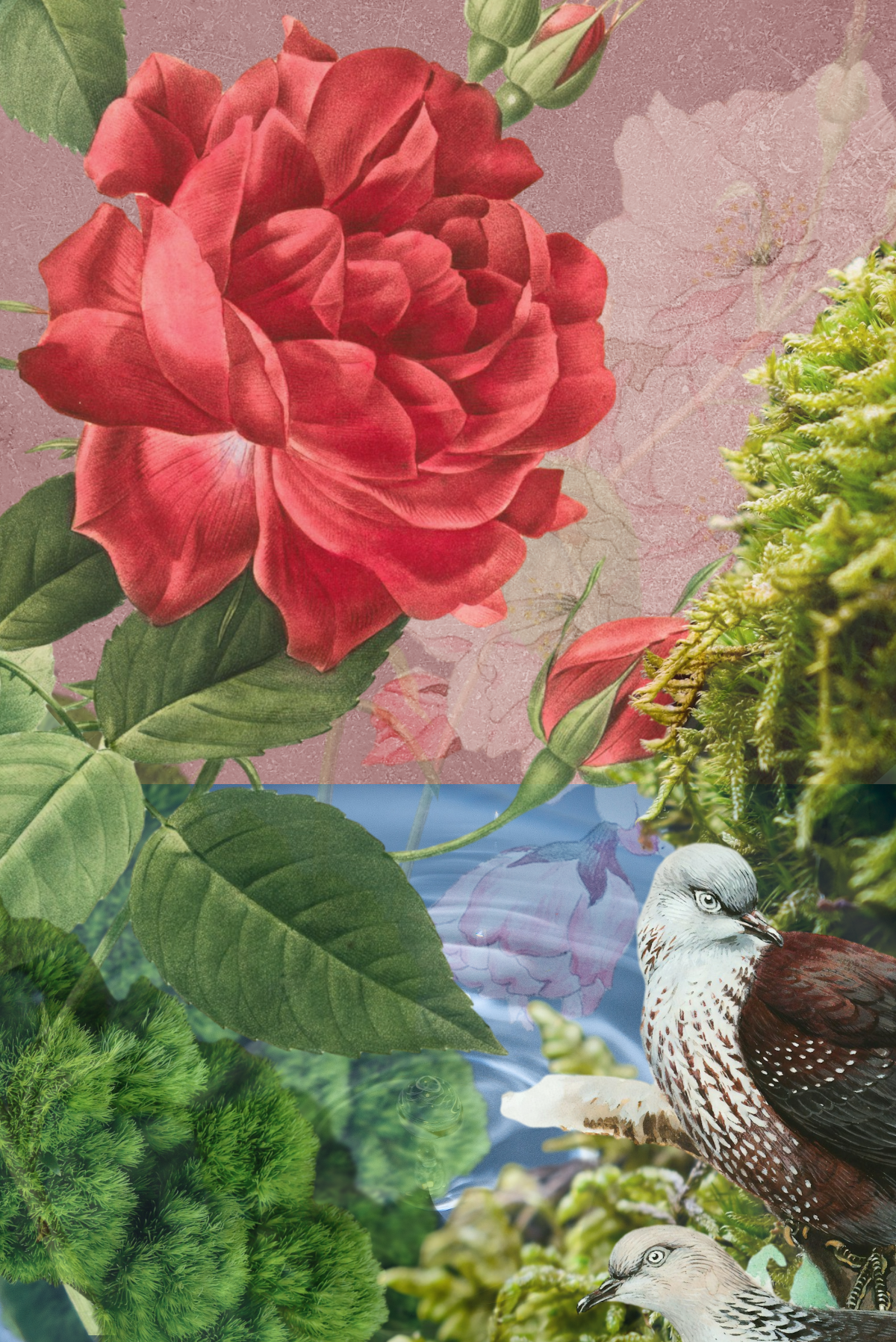 Artwork Digital Collage